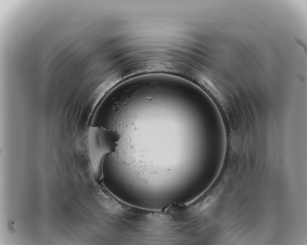 X0000095931089200801181434