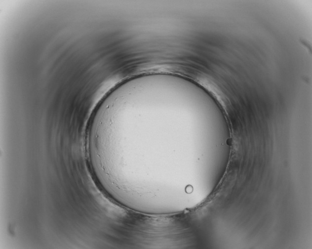 X0000095931090200801181434