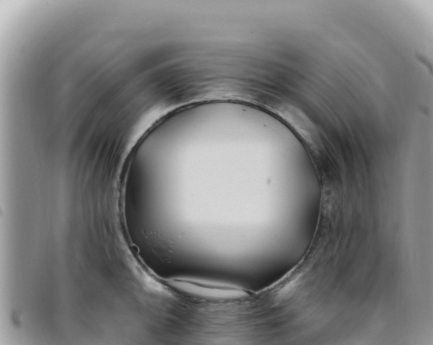 X0000095931094200801181434