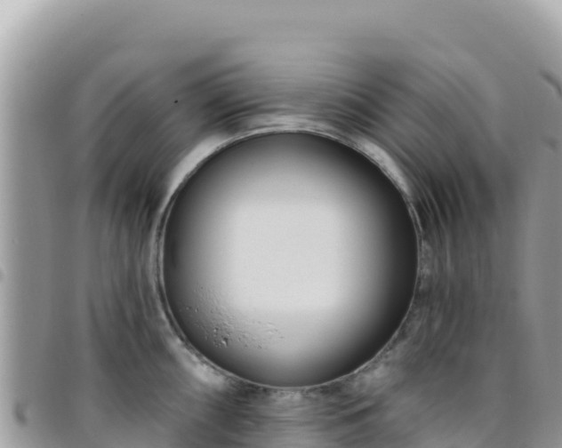 X0000095931098200801181434