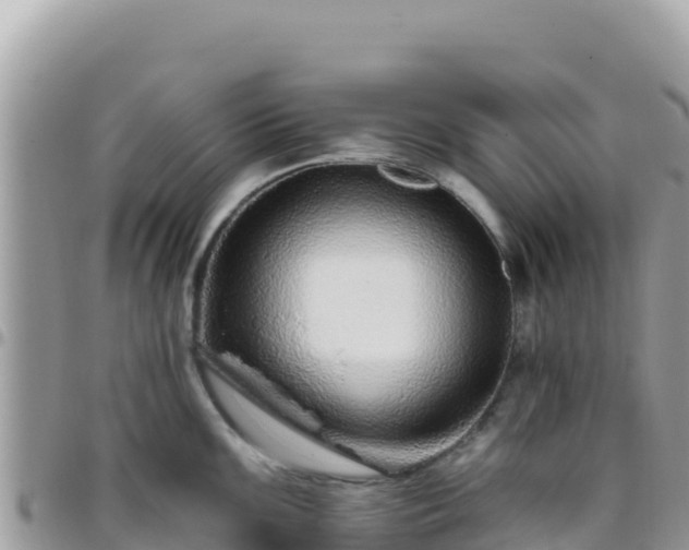 X0000095931099200801181434