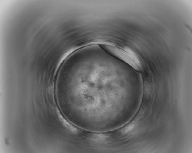 X0000095931100200801181434
