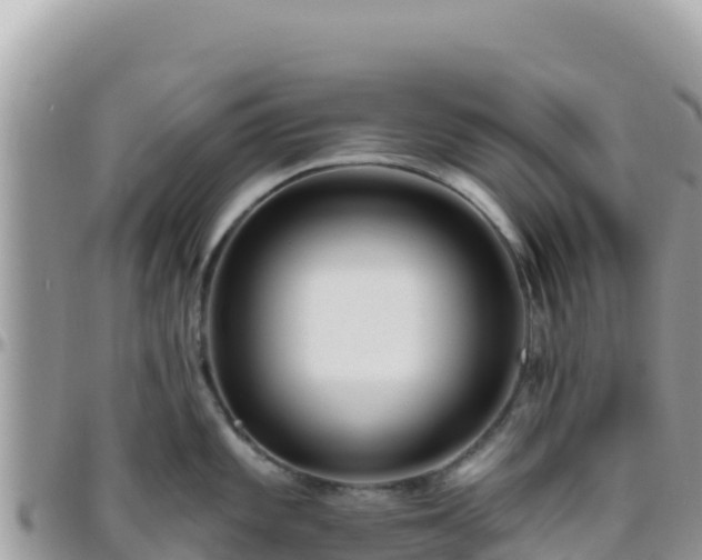 X0000095931101200801181434