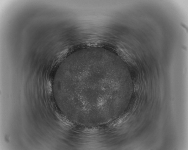 X0000095931106200801181433