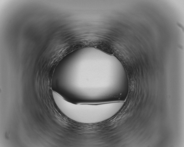 X0000095931108200801181433