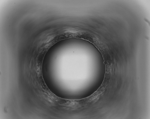X0000095931109200801181433