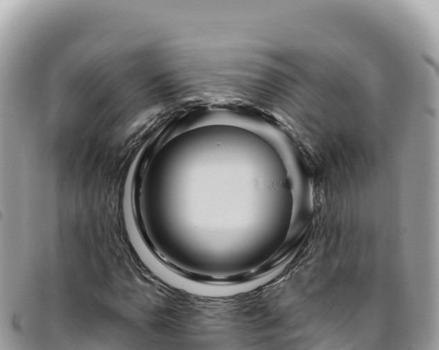 X0000095931110200801181433