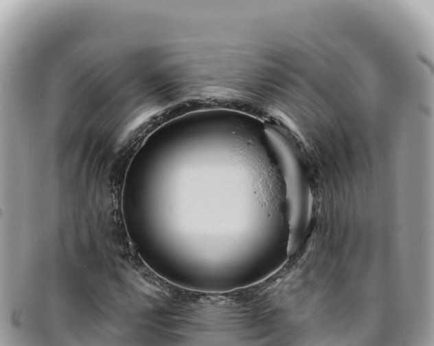 X0000095931112200801181433