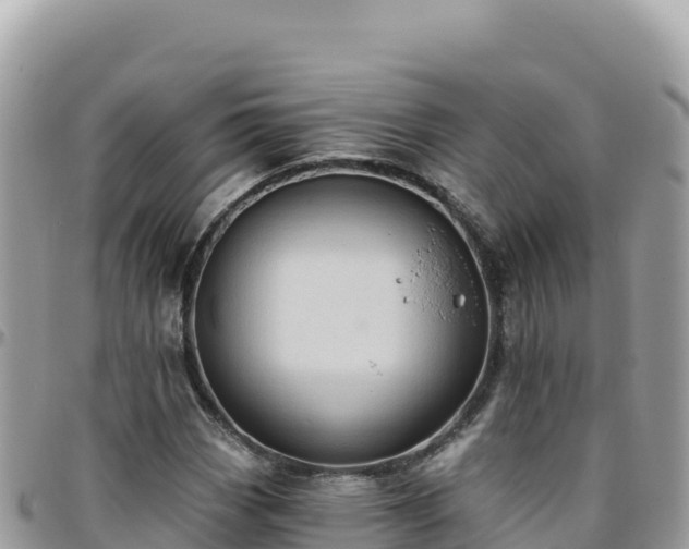 X0000095931113200801181433