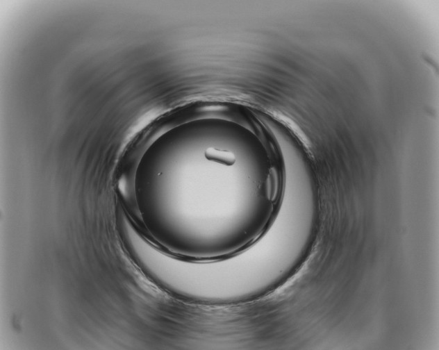 X0000095931114200801181433