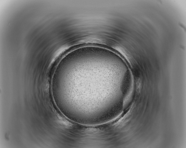 X0000095931115200801181433