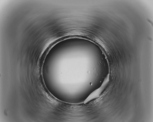X0000095931116200801181433