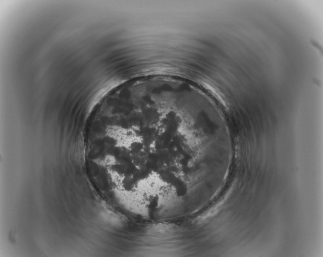 X0000095931117200801181433