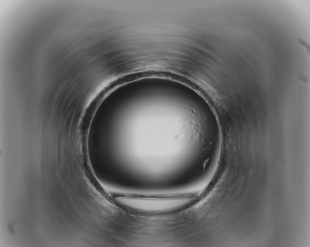 X0000095931118200801181433