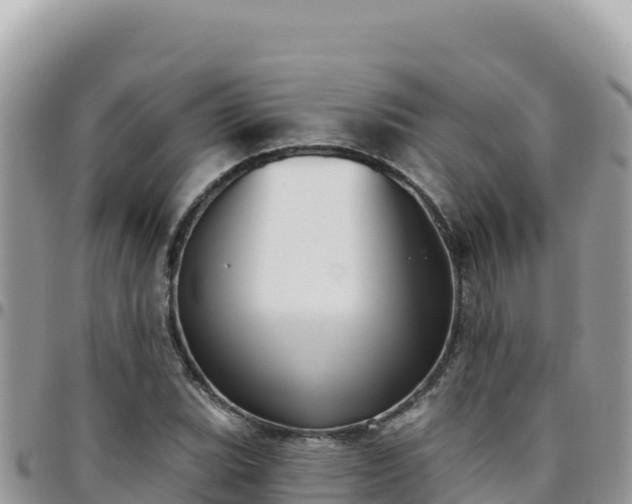 X0000095931119200801181433