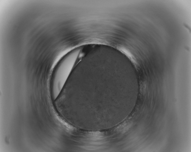 X0000095931120200801181433
