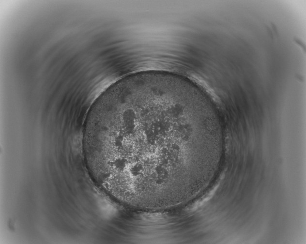 X0000095931121200801181433