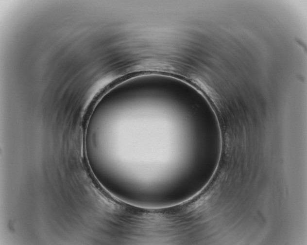 X0000095931123200801181433