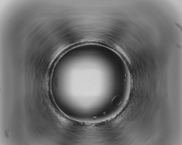 X0000095931124200801181434