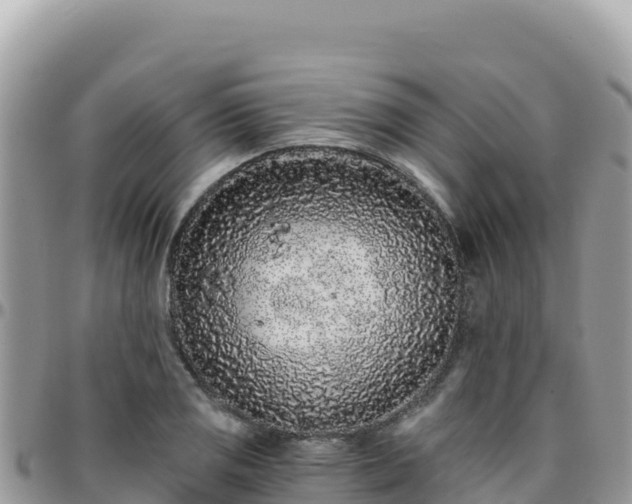 X0000095931125200801181434