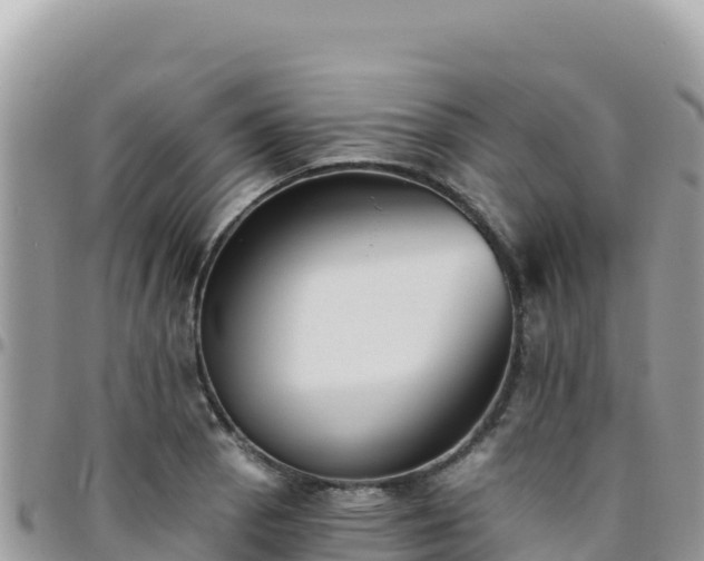 X0000095931129200801181434