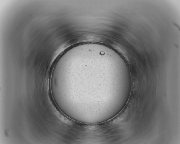 X0000095931130200801181434