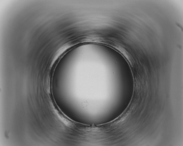 X0000095931131200801181434