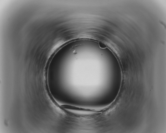 X0000095931133200801181434