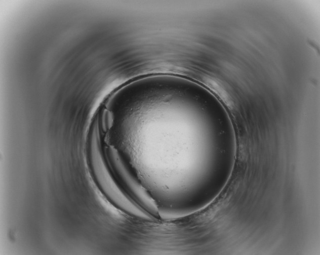 X0000095931136200801181434