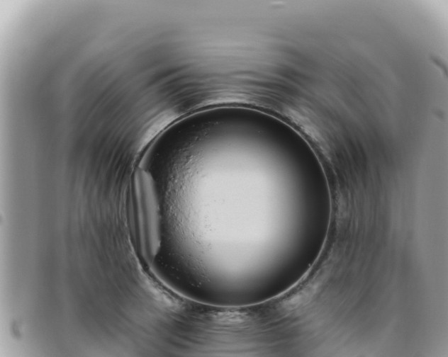X0000095931137200801181434