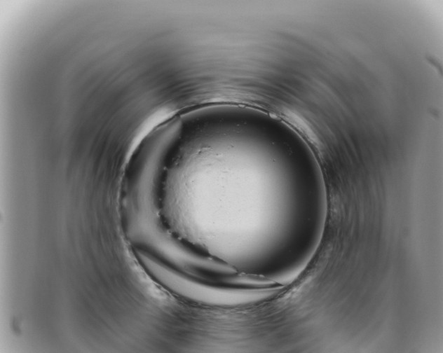 X0000095931138200801181434