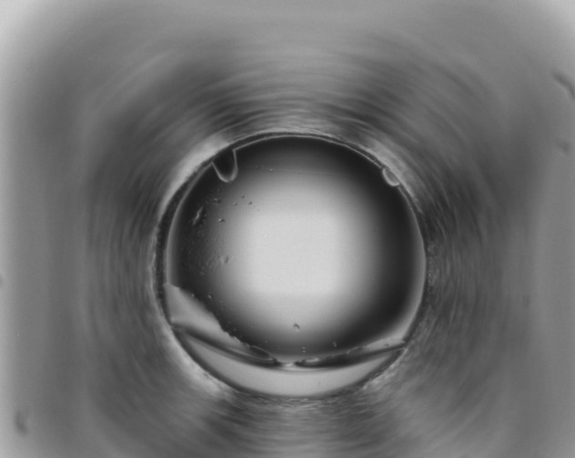 X0000095931139200801181434