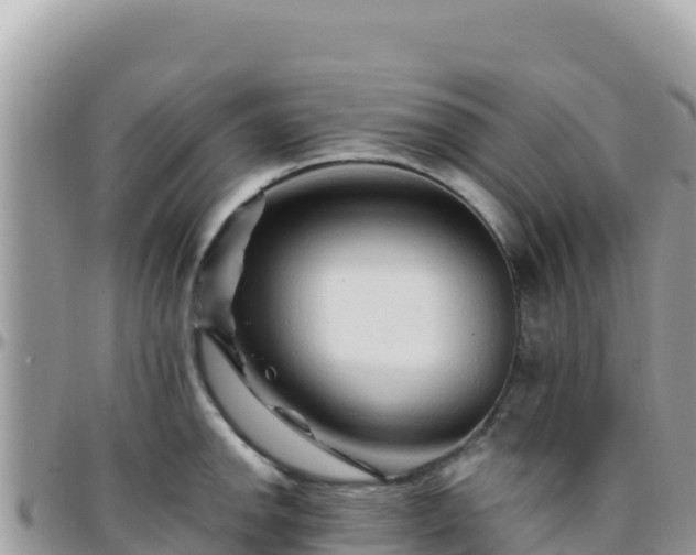 X0000095931142200801181434