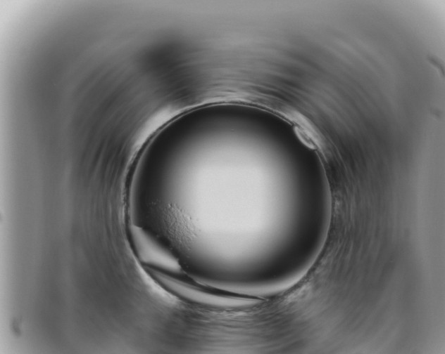 X0000095931143200801181434