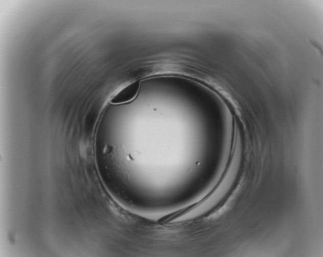 X0000095931145200801181434