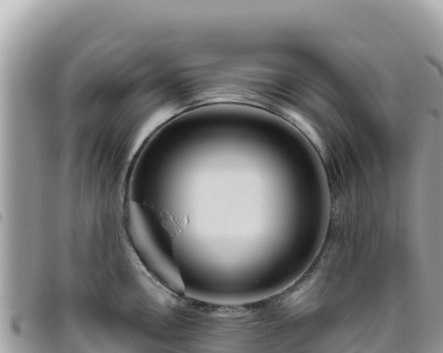 X0000095931146200801181434