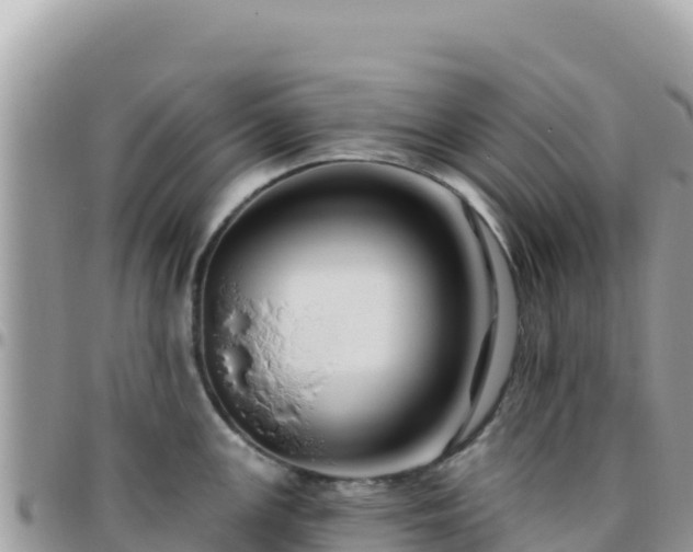 X0000095931147200801181434