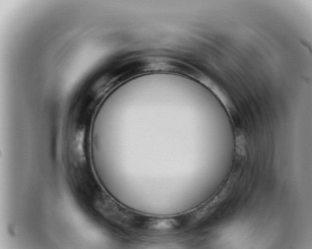 X0000095931150200801181434