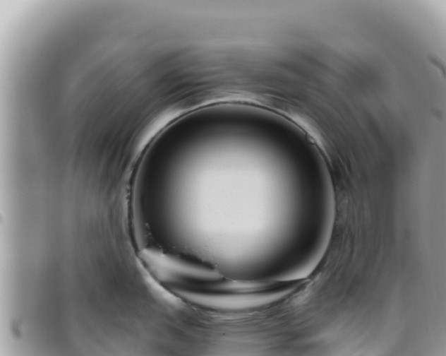 X0000095931151200801181434