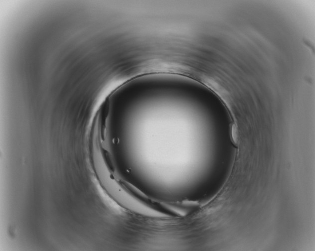 X0000095931152200801181434
