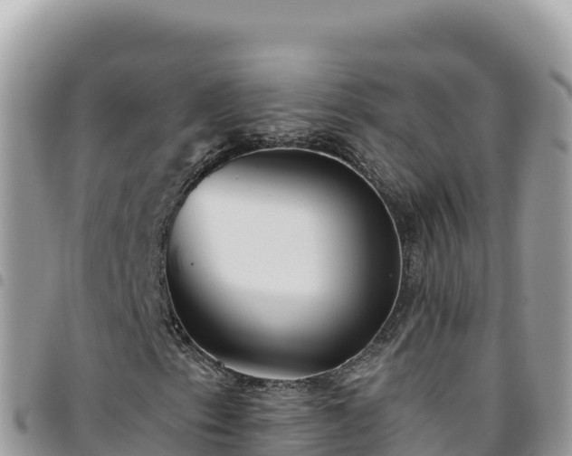 X0000095931153200801181433