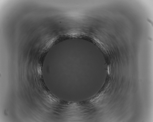 X0000095931155200801181433