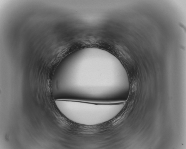 X0000095931156200801181433