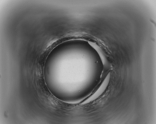 X0000095931158200801181433