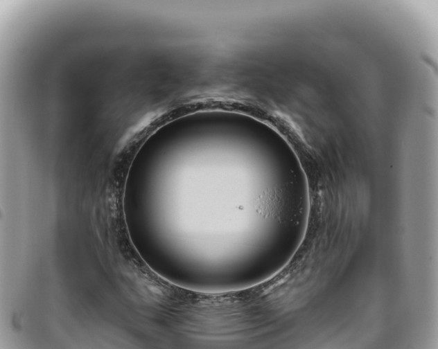 X0000095931159200801181433