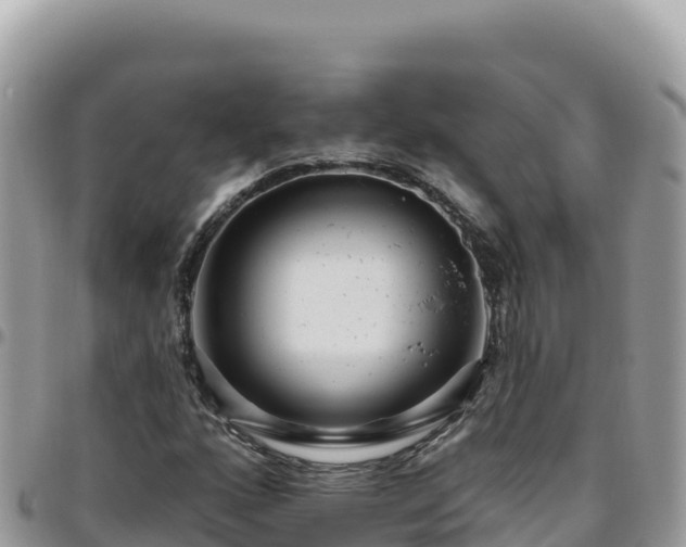 X0000095931160200801181433