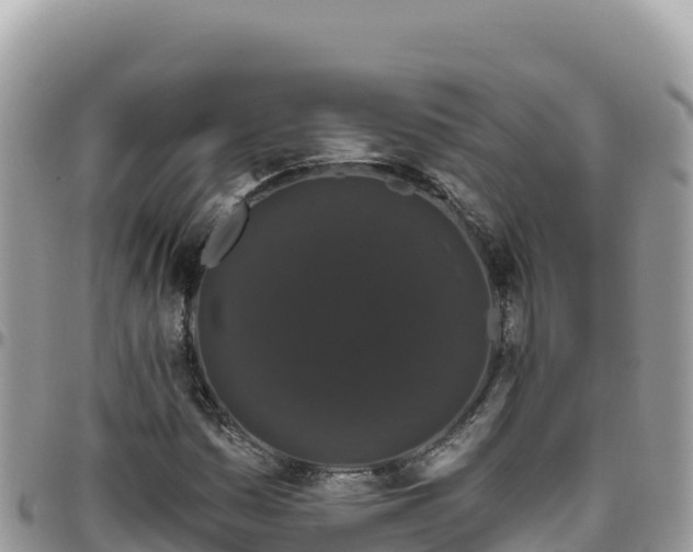 X0000095931161200801181433