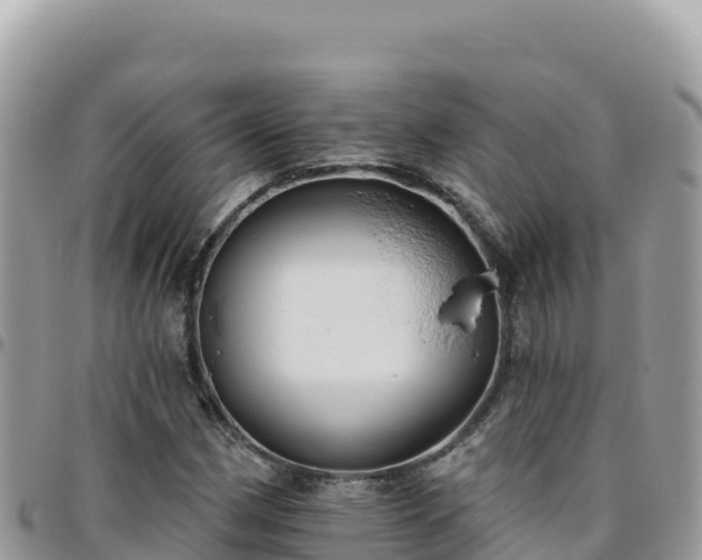 X0000095931162200801181433