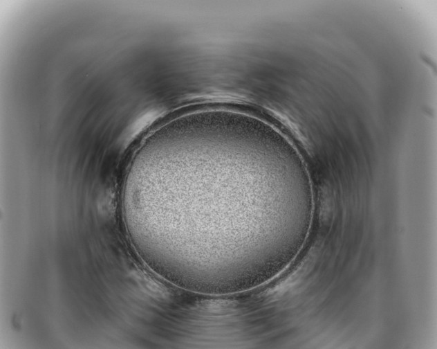 X0000095931163200801181433
