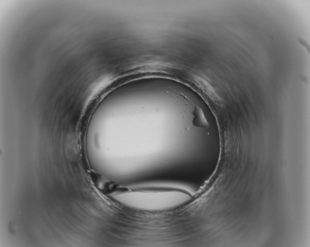 X0000095931164200801181433
